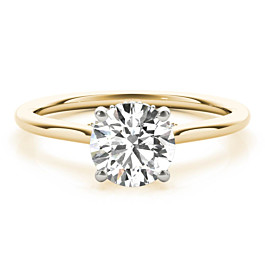 Holly Ring
